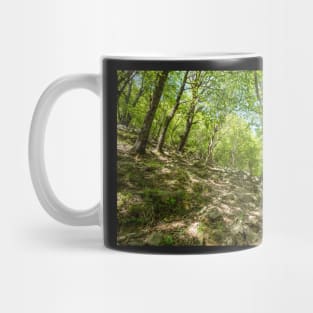 Beech forest and hiking trail Mug